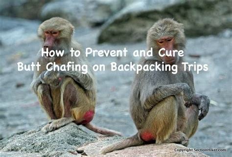 monkey butt cheeks|How to Prevent and Cure Butt Chafing on a Backpacking Trip.